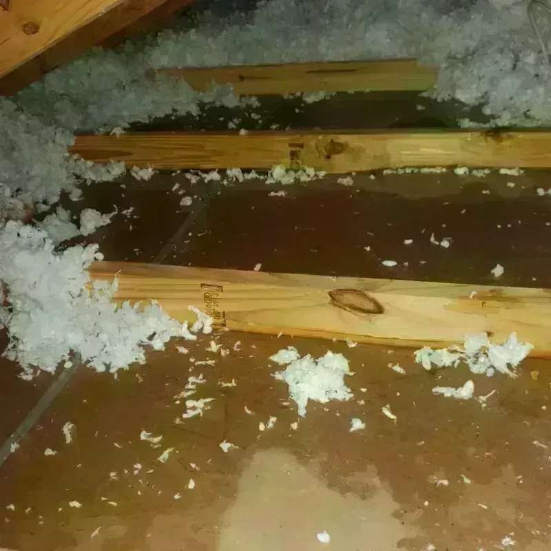 Attic Water Damage in Camden County, GA