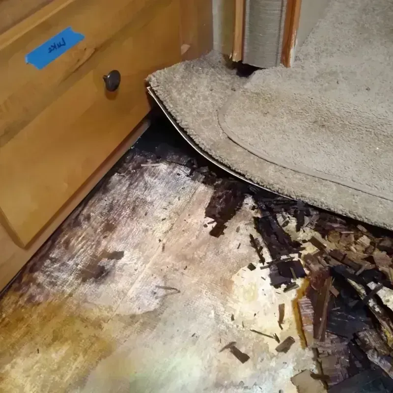 Wood Floor Water Damage in Camden County, GA